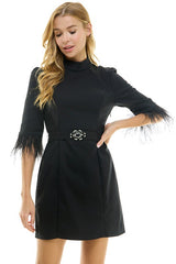 Feather Sleeve Belted Dress