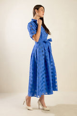 Shirt Collar Blue Woven Midi Dress