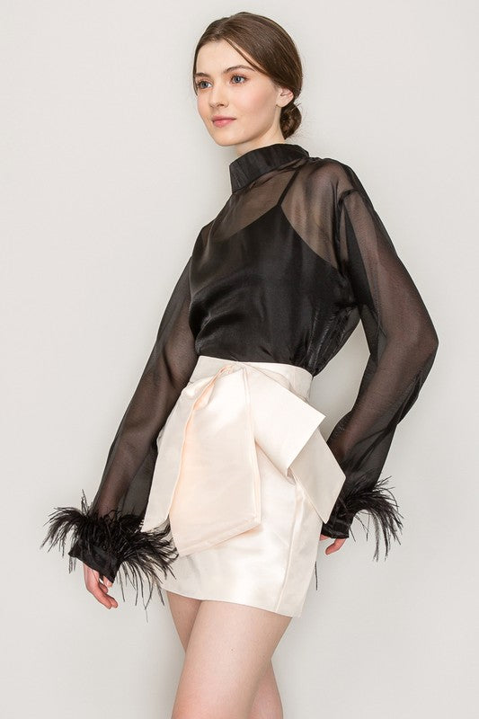 High Neck Sheer Feather Trimmed Blouse