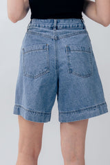 High Waisted Denim Shorts